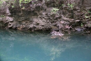 清澈潭水旁的嶙峋岩壁