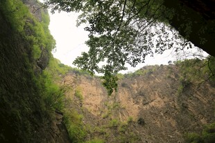 峡谷间绿意盎然的自然景致