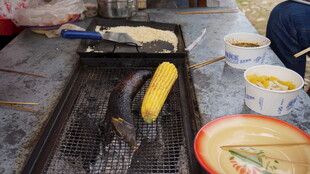 户外烧烤场景中的多样食材