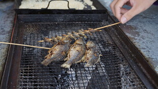 炭火上的美味烤肉串