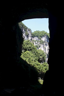 洞口外的青山绿树景观