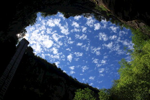 仰望山间蓝天绿树美景