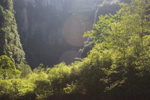 阳光照耀下的山林美景