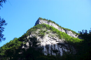 巍峨青山绿意浓