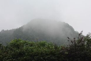 山间云雾缭绕的绿意景致