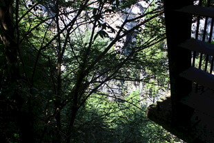 林间阳台 光影交织之景