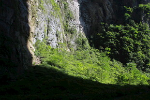 山间绿荫覆盖的陡峭岩壁