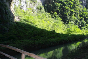 山间绿水旁的木质栈道