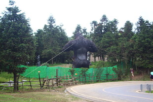 户外游乐设施建设现场