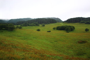 绿色草原山丘风景图