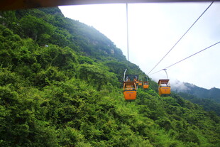 山间缆车穿梭于翠绿山林
