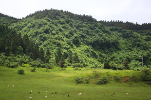 青山绿野间的宁静风光