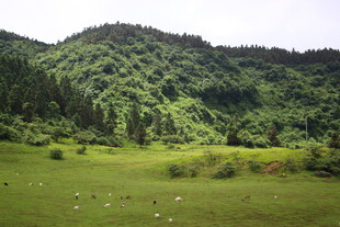 青山绿野间的宁静风光