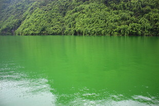 碧绿湖水与葱郁山林