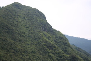 翠绿山峦 自然美景
