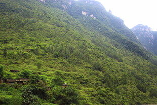 翠绿山峦 自然绿意美景
