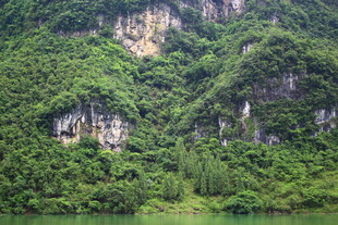青山绿水间的繁茂山林