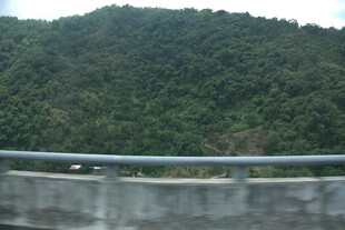 公路旁的葱郁青山