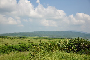 广袤绿野与远山蓝天