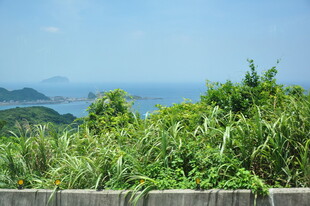 海岸边葱郁植被与远景