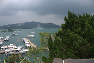 海港停泊船只与绿树景观