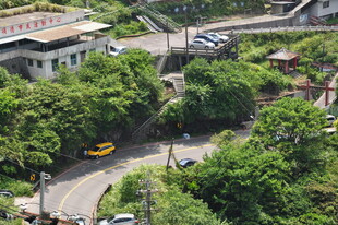 城市绿荫中的蜿蜒道路