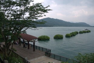 湖畔美景 绿植点缀的宁静处