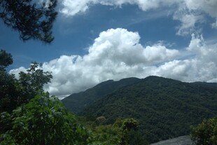 山间蓝天白云绿树美景