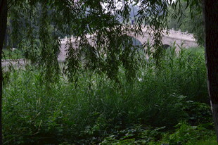 公园风景  