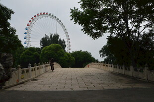 公园风景  