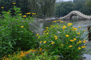 公园风景 