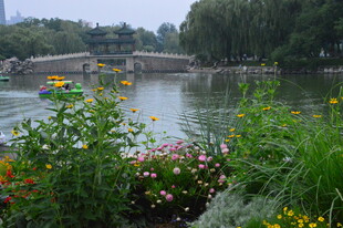 公园风景  