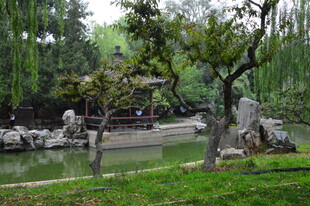 公园风景 