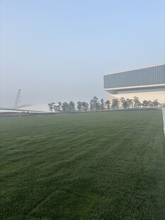 绿茵场地与现代建筑景观