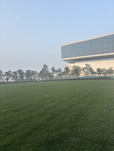 开阔草坪旁的现代建筑