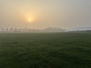 晨雾中的田野与初升太阳