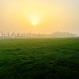 日出下的翠绿田野