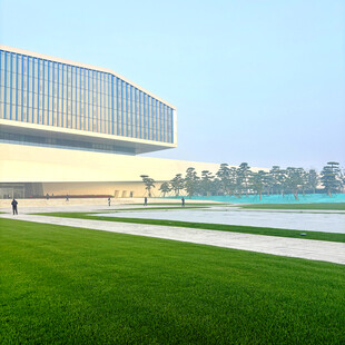 现代建筑旁的翠绿草坪