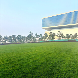 广阔绿草地旁的现代建筑