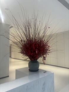 室内红植盆栽艺术展示