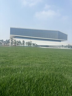 现代建筑前的大片绿草地