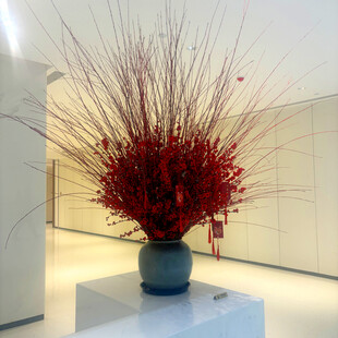 室内红色干花装饰摆件