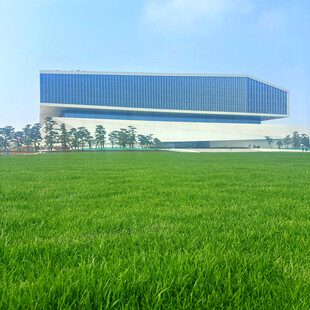 广阔绿草地旁的现代建筑