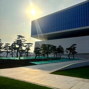 现代建筑旁的绿植景观