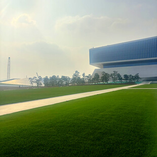 现代建筑旁的翠绿草坪