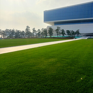 现代建筑旁的翠绿草坪