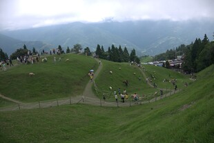 山坡上的人群与美丽风景