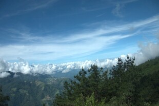 雪山下的葱郁山林