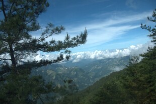 山间松景 远眺蓝天白云
