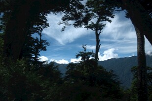 森林间的天空与远山景色